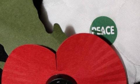 A white poppy and a red poppy