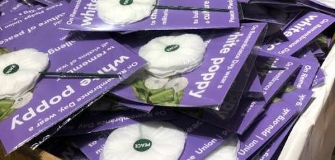 A pile of packs of five white poppies